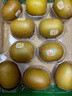 佳沛（zespri）新西蘭  陽光金奇異果10粒禮盒巨大果單果約144-175g 水果 獼猴桃 曬單實拍圖