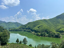 優(yōu)卓AVIZOR優(yōu)可伶雙氧水接觸鏡消毒液350mlRGP角膜塑形鏡ok鏡護理液 曬單實拍圖