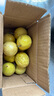廣西欽蜜9號黃金百香果萬澄當季新鮮大果黃皮果奶茶店水果 【1斤 約11-17個】單果30-45g 曬單實拍圖