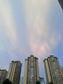 鮮京采 鮮凍大號(hào)黑虎蝦 去冰凈重2斤 31-40只/盒 斑節(jié)對(duì)蝦 曬單實(shí)拍圖