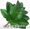 JPLAYER榮耀X8 Pro/X9保護(hù)套2023款11.5英寸平板電腦保護(hù)殼三折支架智能休眠全包外殼防滑防摔皮套黑色 曬單實拍圖