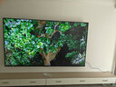Vidda X Mini 2026款 海信電視98寸 Mini LED 柔光防眩屏 100吋以舊換新家電國(guó)家補(bǔ)貼液晶電視機(jī)98VX3Q 曬單實(shí)拍圖