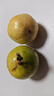 海南百香果廣西百香果 變黃變皺皮更甜 泡水喝 生吃 調(diào)味新鮮水果 10個 曬單實拍圖