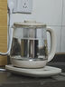 小熊（Bear）養(yǎng)生壺 煮茶器 燒水壺 煮茶壺 316L不銹鋼多段保溫迷你玻璃花茶壺 電熱水壺1.5L YSH-E15Q7帶濾網(wǎng) 曬單實(shí)拍圖