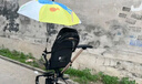 俞兆林嬰兒車遮陽(yáng)傘防曬傘推車遮陽(yáng)傘兒童車遮陽(yáng)傘溜娃車遮陽(yáng)罩雨傘小象 曬單實(shí)拍圖