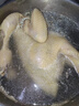 熊材 散養198天宮廷五趾黃雞(凈膛)2.6斤 土雞走地雞整雞 雞肉 生鮮  曬單實(shí)拍圖