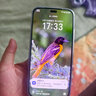 華為Mate70 pro 鏈接可選 2025新機上市 5G新品旗艦手機 24期免息H0N0R X70i 一億像素高亮護眼大屏 絨黑色 12GB+512GB 官方標配【贈2年延保+1年碎屏險】 曬單實(shí)拍圖