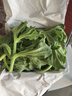 農(nóng)大姐妹順豐速運(yùn) 新鮮冰菜 冰草  新鮮蔬菜現(xiàn)摘冰葉 冰花 即食沙拉菜 1斤 曬單實(shí)拍圖