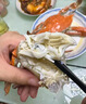 【鮮活發(fā)貨】舟山鮮活東海精品野生梭子蟹大螃蟹飛蟹海蟹產(chǎn)地直發(fā) 4斤裝公蟹【5-6只】（鮮活打氧發(fā)貨） 曬單實(shí)拍圖