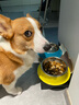 Orijen渴望狗糧 成犬幼犬無谷雞天然雞肉進口全價通用犬糧2kg 效期26/2 曬單實拍圖