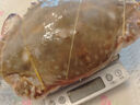 舟山梭子蟹鮮活特大野生大螃蟹新鮮冷凍海鮮水產(chǎn)海蟹飛蟹白蟹順豐 9兩以上/只【5斤凈重 超大肥美】 曬單實拍圖