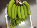 國(guó)產(chǎn)高山甜香蕉  新鮮水果 室溫放蘋果半密封催熟 9斤（普通蕉）專項(xiàng)凈重 曬單實(shí)拍圖