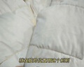 維特絲羽絨服清洗劑免水洗清潔神器干洗劑免洗專(zhuān)用去污去漬家用洗滌液 曬單實(shí)拍圖