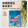 立邦外墻防水涂料 透明防水膠窗臺防水補(bǔ)漏材料透明堵漏膠滲透型 1kg 曬單實拍圖