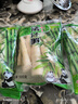 小竹筍新鮮嫩筍尖清水春筍樂安竹筍江西特產(chǎn)蔬菜火鍋麻辣燙食材 小竹筍尖500g*3袋 曬單實(shí)拍圖
