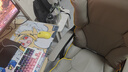 科幻猩電競椅電腦游戲椅舒服久坐家用椅子辦公椅可躺可升降椅座椅躺椅 超纖皮-灰色+頭枕+加厚海綿坐墊 滑軌扶手 +鋼制腳 曬單實拍圖