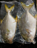 翔泰 海南金鯧魚(yú)凈重900g 2條裝  魚(yú)類(lèi)生鮮 火鍋食材 海鮮水產(chǎn) 中秋 曬單實(shí)拍圖