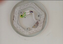 飛利浦（PHILIPS）LED吸頂燈燈芯32W白光6000K磁吸改造替換光源燈板模組（直徑245mm） 曬單實(shí)拍圖