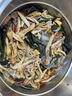 干海帶頭霞浦海帶特產(chǎn)日曬干貨批發(fā)特厚昆布厚實(shí)涼拌燉湯久誠(chéng) 【精選沖量】海帶短頭50g*10袋 曬單實(shí)拍圖