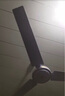 鉆石牌吊扇電風(fēng)扇家用客廳1.4米56吋樓頂扇工業(yè)大風(fēng)力吸頂電風(fēng)扇DS56-11I 曬單實(shí)拍圖