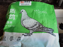 溫潤(rùn)食品 乳鴿凈重900g/3只 鴿子肉 液氮鎖鮮 鹵鴿烤鴿 燒烤 乳鴿湯 煲湯 曬單實(shí)拍圖