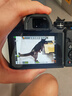 奧林巴斯（OLYMPUS）E-M10 MarkIV EM10四代 微單相機 數(shù)碼相機 微單套機（14-42mm & 40-150mm）黑 曬單實拍圖