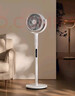 東芝（TOSHIBA）【風(fēng)待月】空氣循環(huán)扇電風(fēng)扇直流變頻落地扇負離子凈化電風(fēng)扇靜音臥室超靜音一級能效DSB700XCN(Y) 曬單實(shí)拍圖