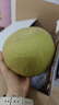 京鮮生 泰國青柚 青皮白心蜜柚 巨大果4粒禮盒 單果1000g+ 源頭直發(fā)包郵 曬單實拍圖