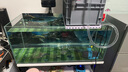 創(chuàng)寧魚(yú)缸漁池循環(huán)變頻潛水泵 水族箱安靜抽水  水陸兩用 魚(yú)池假山過(guò)濾 升級(jí)款【超輕音25W】流量2200-3500L 曬單實(shí)拍圖