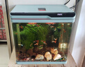 森森（SUNSUN）魚缸一體缸自循環(huán)小型客廳水族箱生態(tài)玻璃缸免換水ZHR-380 曬單實拍圖