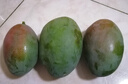 京覓四川攀枝花凱特芒 芒果凈重4.5-5斤單果400g起 新鮮水果源頭直發(fā) 曬單實(shí)拍圖