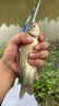 漁之源（Yuzhiyuan）釣魚(yú)支架高碳高硬臺(tái)釣支架釣魚(yú)配件炮臺(tái)支架 2.7m去野二代  曬單實(shí)拍圖