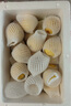 京覓福建黃金百香果欽蜜9號(hào) 新鮮水果生鮮 3斤(單果70-90g) 源頭直發(fā) 曬單實(shí)拍圖