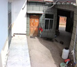 霸天安4G太陽能攝像頭 變焦監(jiān)控室外免插電無需連wifi終身免流量 監(jiān)控器360度無死角帶夜視 全景手機(jī)遠(yuǎn)程 曬單實(shí)拍圖