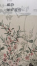 陳淳花鳥(niǎo)畫(huà)譜2 湖山畫(huà)譜明清花鳥(niǎo)畫(huà)譜系列第三輯 浙江人民美術(shù)出版社 湖山書(shū)畫(huà) 曬單實(shí)拍圖