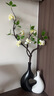 花瓶擺件客廳插花高級(jí)感家居電視柜玄關(guān)餐桌輕奢高檔端藝術(shù)裝飾品 愛(ài)心花瓶組合-小黑大白 曬單實(shí)拍圖