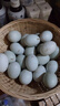 鴨蛋正宗新鮮土鴨蛋農家散養(yǎng)綠殼青皮鴨蛋20枚整箱批發(fā)生鮮超市 60g-70g 曬單實拍圖
