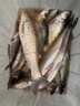 金龍 魚(yú)餌野釣窩料五谷雜糧底窩鯽魚(yú)鯉魚(yú)草魚(yú)青魚(yú)水庫重窩巨物打窩料 巨物霸·餌（2包） 曬單實(shí)拍圖