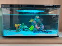 畫法幾何適配米魚缸造景套餐裝飾擺件沉木仿真假山珊瑚小型生態(tài)家魚缸造景 馬上發(fā)財造景套裝 曬單實拍圖