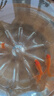 精品金魚(yú)觀(guān)賞魚(yú)養不死自來(lái)水鴻運當頭好養耐活魚(yú)冷水淡水魚(yú)風(fēng)水魚(yú) 精品金魚(yú)組合顏色隨機 5-7厘米3條 曬單實(shí)拍圖