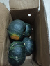 粵迎山東貝貝南瓜板栗口感源頭直發(fā)香甜兒童輔食美味粗糧新鮮蔬菜生鮮 5斤 精選裝【粉糯香甜】凈4.5斤 曬單實(shí)拍圖