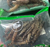 鮮活羅氏沼蝦250g(6-12只) 曬單實拍圖