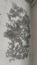 新鮮食用生吃現(xiàn)摘現(xiàn)發(fā)葵花盤頭帶籽帶盤原味向日葵葵花子 小盤(直徑15-18cm)*2盤 曬單實(shí)拍圖