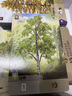 森森不息Forest Shuffle桌游多人休閑聚會德式內(nèi)含基礎(chǔ)擴展游戲牌 森森不息【2-5人】中文版（1盒） 30 曬單實拍圖