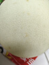 京鮮生 玉菇甜瓜 凈重4.5-5.5斤 2-3粒  中秋禮盒源頭直發(fā) 曬單實(shí)拍圖
