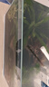 森森超白桌面小魚(yú)缸生態(tài)玻璃缸水草缸客廳造景金魚(yú)缸HWK-420P裸缸 曬單實(shí)拍圖