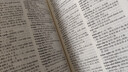  實(shí)用越漢漢越詞典/東南亞國家語(yǔ)言辭書(shū)系列 曬單實(shí)拍圖