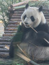 潘婷氨基酸乳液修護洗發(fā)水1KG洗發(fā)水順撫平毛躁防干枯男女通用套裝 曬單實拍圖