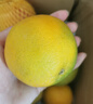 正宗湖北秭歸手剝臍橙60mm~75mm產(chǎn)地直發(fā)新鮮果凍橙 秭歸臍橙4.5斤75mm 曬單實(shí)拍圖
