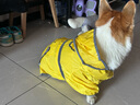 渠辰狗狗雨衣柯基雨衣寵物雨衣柯基雨衣全包四腳柴犬雨衣狗狗雨披 檸檬黃 3XL【建議28-35的狗狗】 曬單實(shí)拍圖